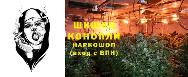 соль ск Алзамай