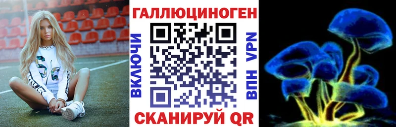 Псилоцибиновые грибы Magic Shrooms  где найти   дарк нет какой сайт  Ельня 
